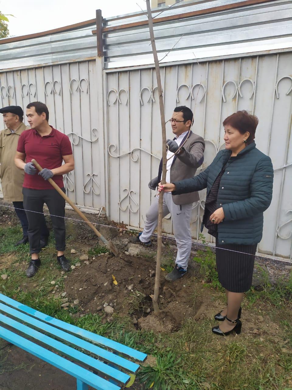 107 лицейде мектеп ауласына ағаш отырғызылды.  Ағаш отырғызу-қасиетті де ұлағатты істің бірі. Лицей ұжымының ұстаздары да осы іске білек сыбана кірісті