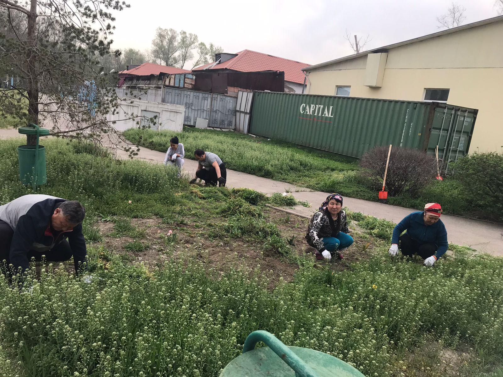 қалалық себілік